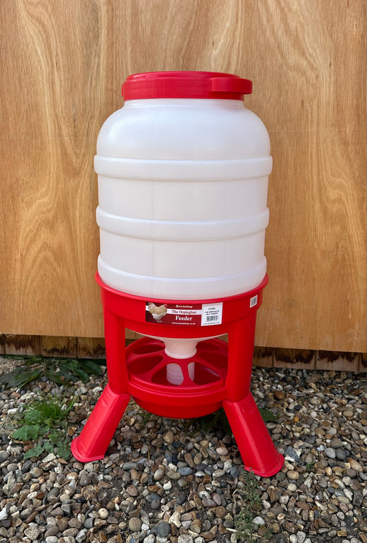 40 kgs Orpington feeder