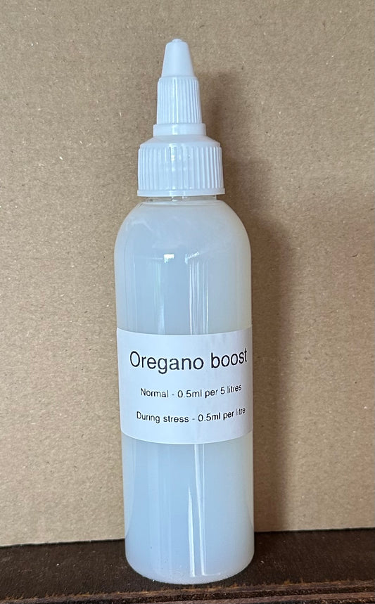 Oregano boost