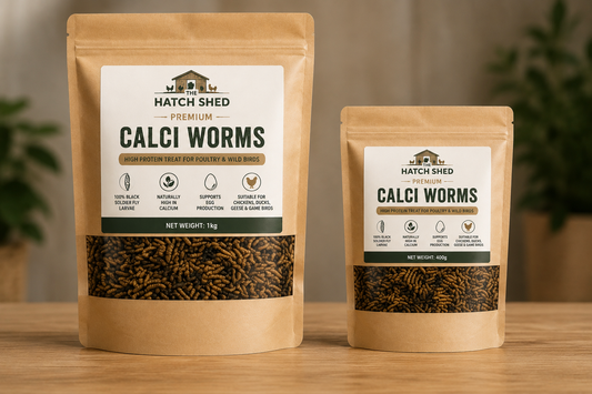 Premium Calci worms